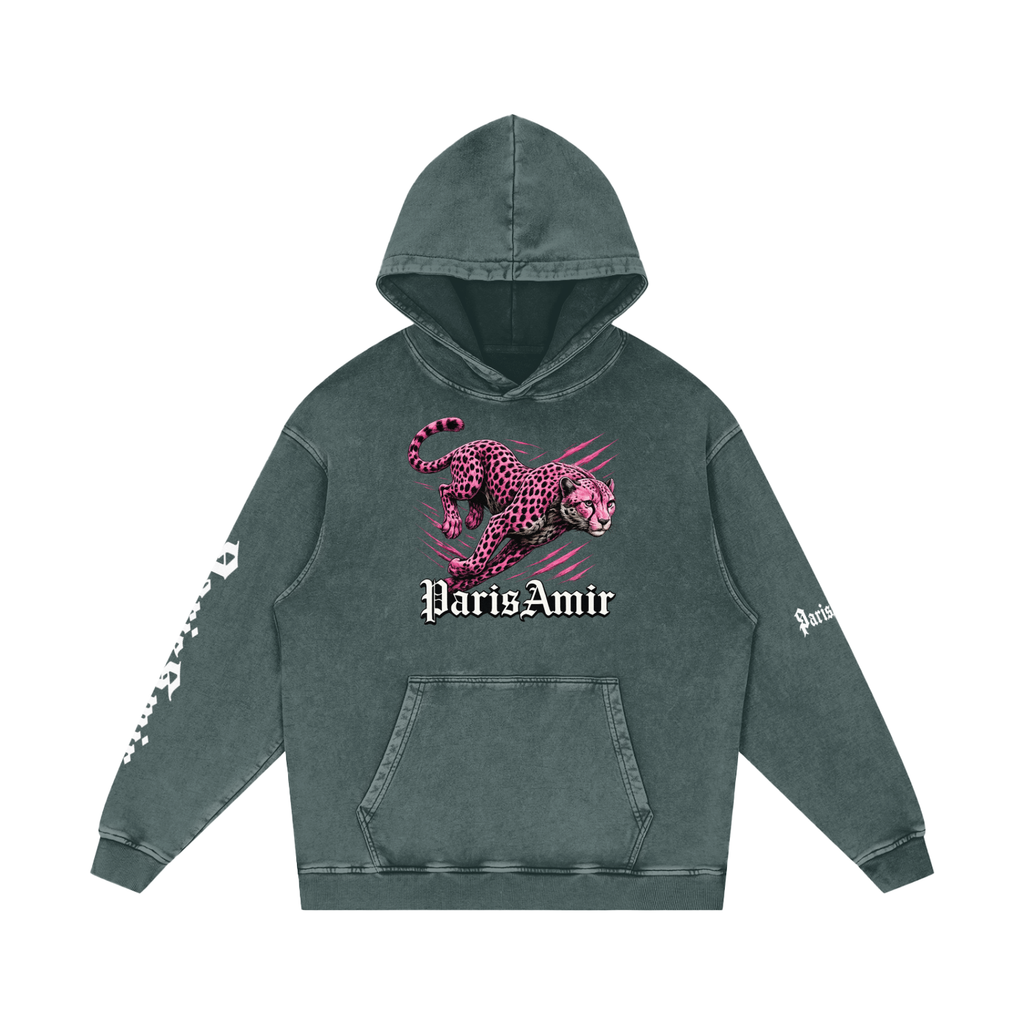 parisamir Snow Washed Hoodie